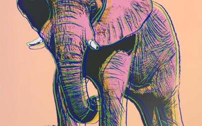 African Elephant