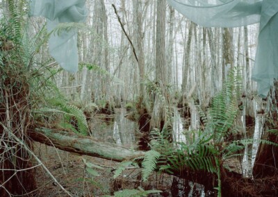 Marjory’s World Untitled_3